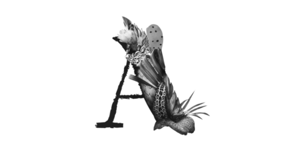 Aniwa